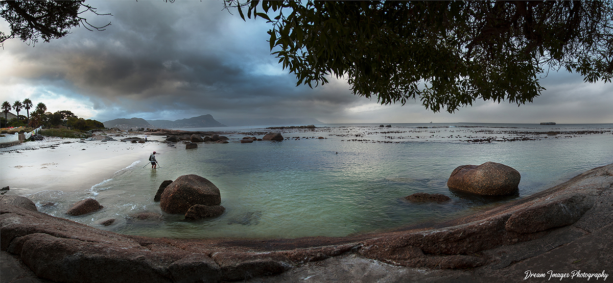 Landscape 5